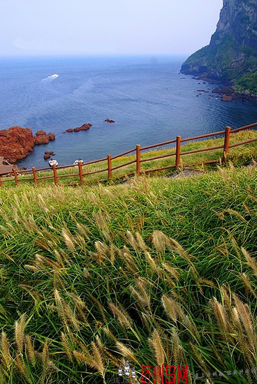 濟州島有哪些自然景點?濟州島世界自然遺產介紹