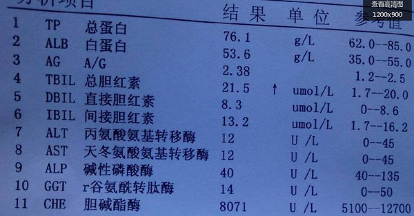 有大三陽攜帶可以買什麼保險 大三陽可以買什麼保險