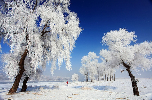 冰雪大世界是哈尔滨冬天最热门的地方,各式各样栩栩如生的冰雕,巧夺