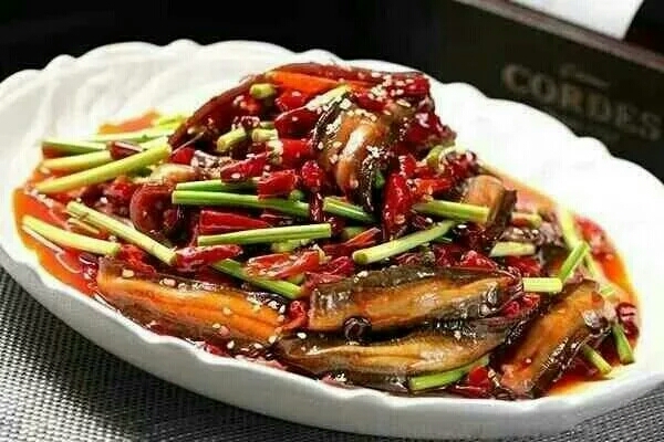 大廚丁康推薦菜品-碎椒炒土鱔魚