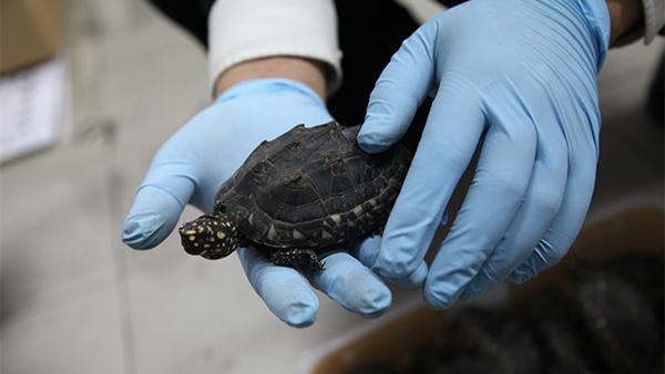 ϺֶʻزΣְװ߳عꡣ