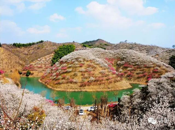 地址:浙江湖州市安吉杭垓鎮梅花溝