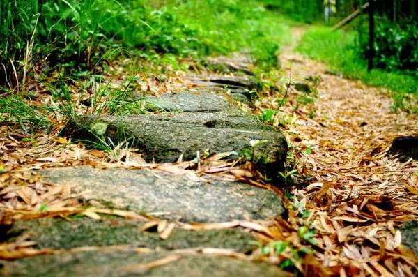 径山古道,陆羽山庄,双溪漂流,万寿禅寺…没错,这些都在杭州余杭径山