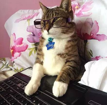 在床上玩手机,能玩到天黑然而真实的情况是我妈:睡睡睡,就知道睡回来