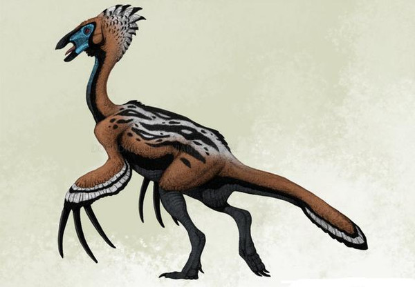 恐爪龙下目镰刀龙(therizinosaurus)的复原图,它们以三枚镰刀般长而