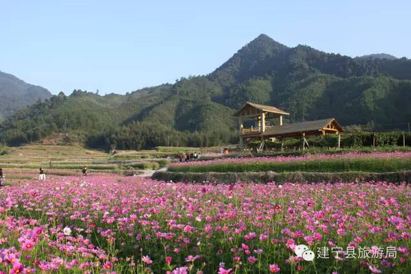 【高峰村香溪花谷】