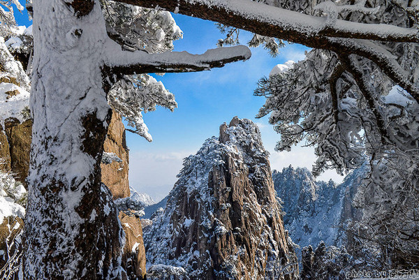 黃山冬雪圖