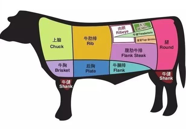 牛排实际上是牛的叉腰肌 也就是上图中牛柳tenderloin的位置 是牛肉