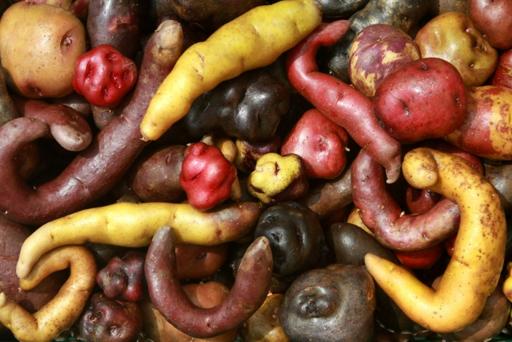 �ڵ�Ӱ�����Ǿ�Ԯ���У�Ϊ����ֲС�������Ա���˽������ϵ����������������������ֲ�������ıر�����֮һ��Ϊ��ģ������ϵ�����������NASAʵ���Ŷӽ���200����Լ91ǧ�ˣ��İ�������ɳĮɳ���˵�ʵ������ݷ����籨������������ɳĮ�������������ĵط�֮һ�����������ͻ��Ǻ���