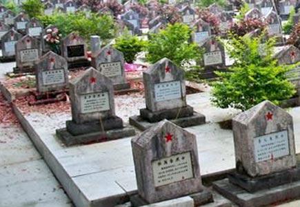 真实对越自卫还击纪录片_真实的对越自卫反击战，国人看完都沉默了