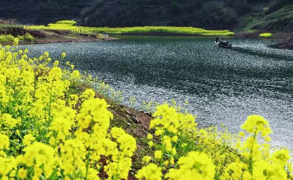 春回大地,千島湖踏春之旅待啟程