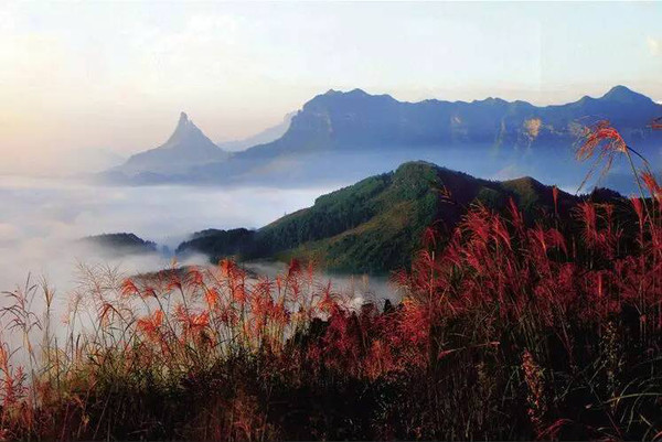 在佛山,有一種登高望遠,叫皂幕凌雲?