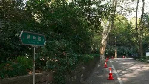 九曜山隧道,莲花峰路实行机动车由西向东单向通行;玉皇山路(莲花峰