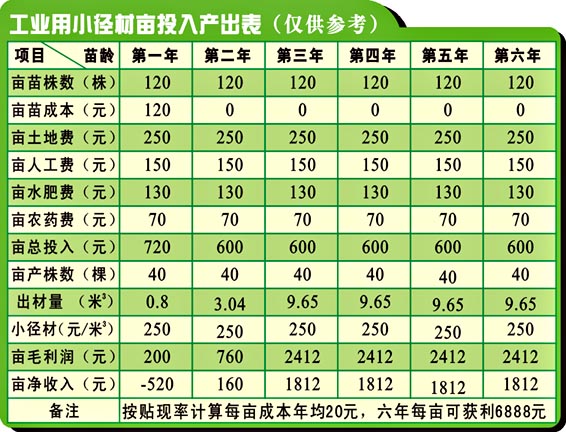 10年小叶黄杨价格表图片