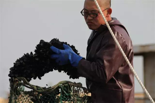 海虹养殖绳图片