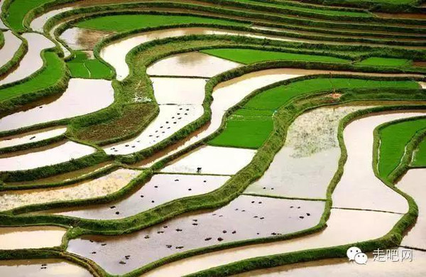 设计结合方式的思考 著名的大地艺术有哪些答《大理石园《土丘》