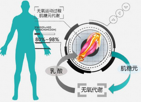 肌肉器械訓練,舉重等負荷強度高,瞬間性強的運動定義為無氧運動