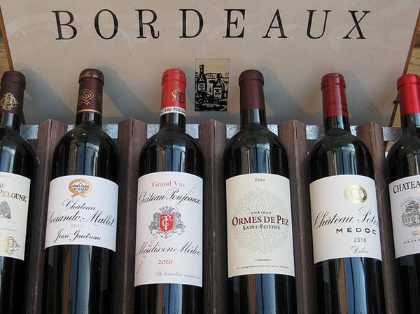 cougars bordeaux cougars bordeaux