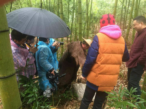 老父親親自上陣,帶央視主播主持人孫迅現場挖筍,伴著南方煙雨和清新