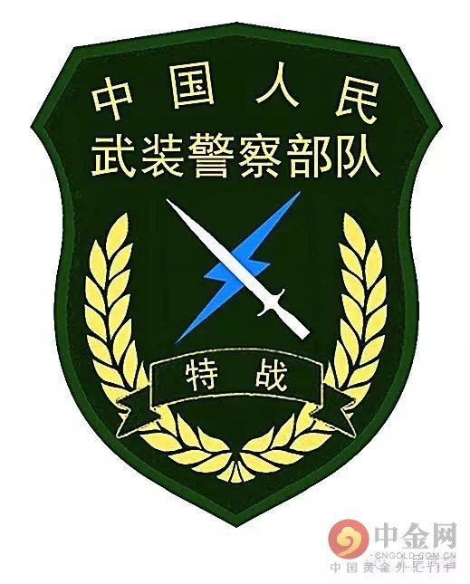 武警更换新式标志服饰_新式标志服饰与旧式的对比(组图)