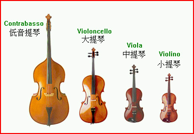 西洋管弦乐队分类图片