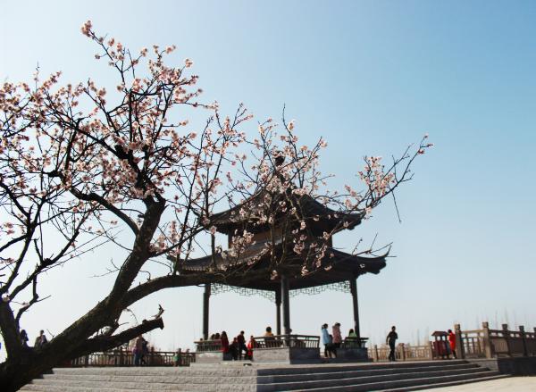 洪藍鎮傅家邊農業科技園(傅家邊農業生態園) 2016南京溧水梅花節門票