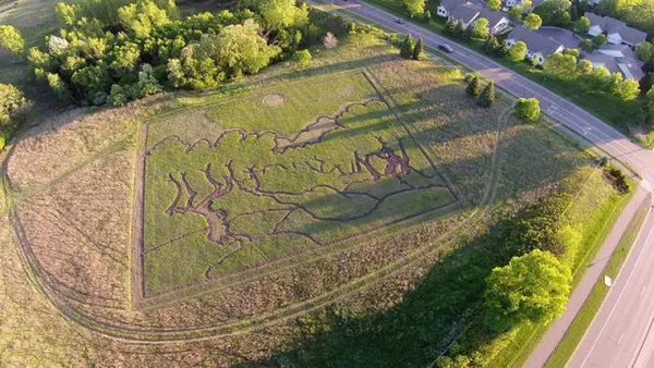 大地之子:给我一块空地,还你一幅油画