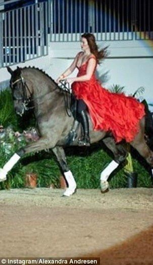 安德烈森家族早于19世纪经营烟草业,传到两姐妹的父亲是第五代。安德烈森家族于1998年卖掉烟草企业。目前家族拥有的Ferd集团主要从事资本、投资、地产等业务。9年前,安德烈森把集团逾八成股份转给两位女儿,自己则持有剩余的两成股份。