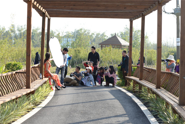 摄影花絮陈家鹏作品刘陶亮作品谭娟作品滕德谋作品韦震宇作品徐菲菲