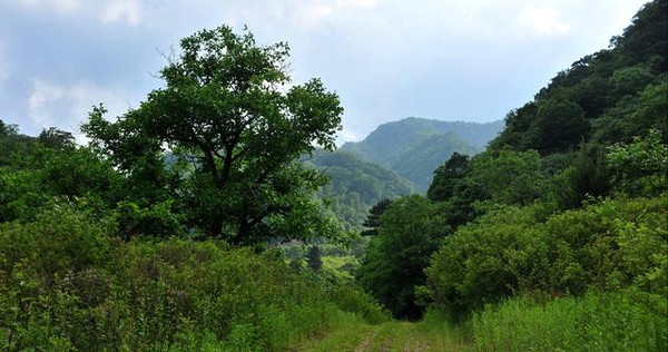 秦岭画卷 醉美宁陕 丨 风景