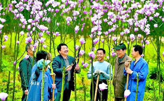 图文:培训到田间湖北日报讯昨日,枝江市马家店街道办事处白家岗村园艺