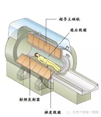 核磁共振原理图片