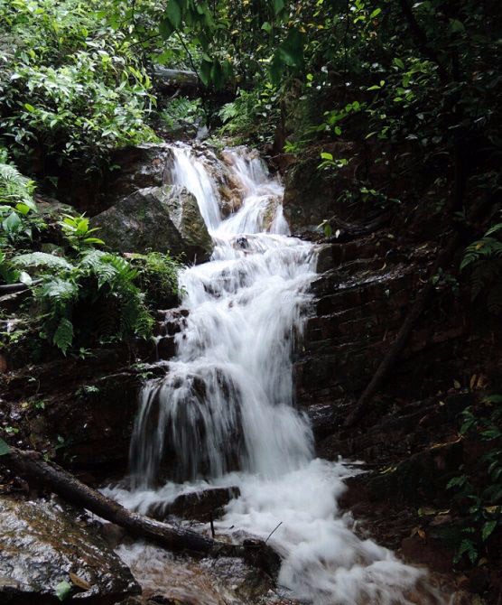 岳麓山清风峡图片