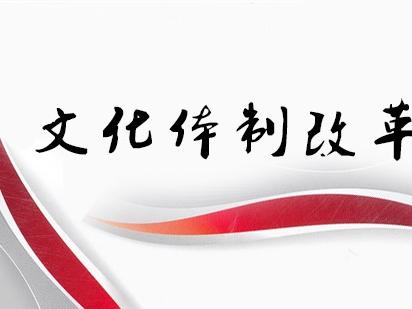 发改委:2016年积极推进文化体制改革