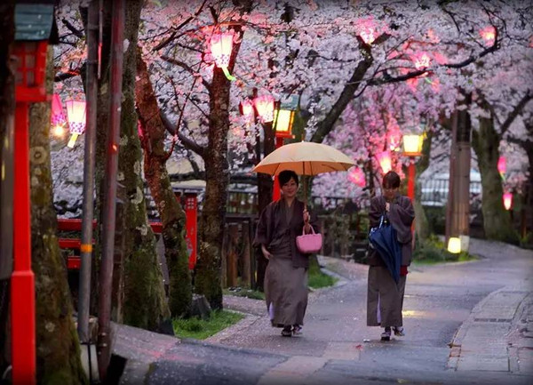 和歌表现的樱花与日本人的无常观