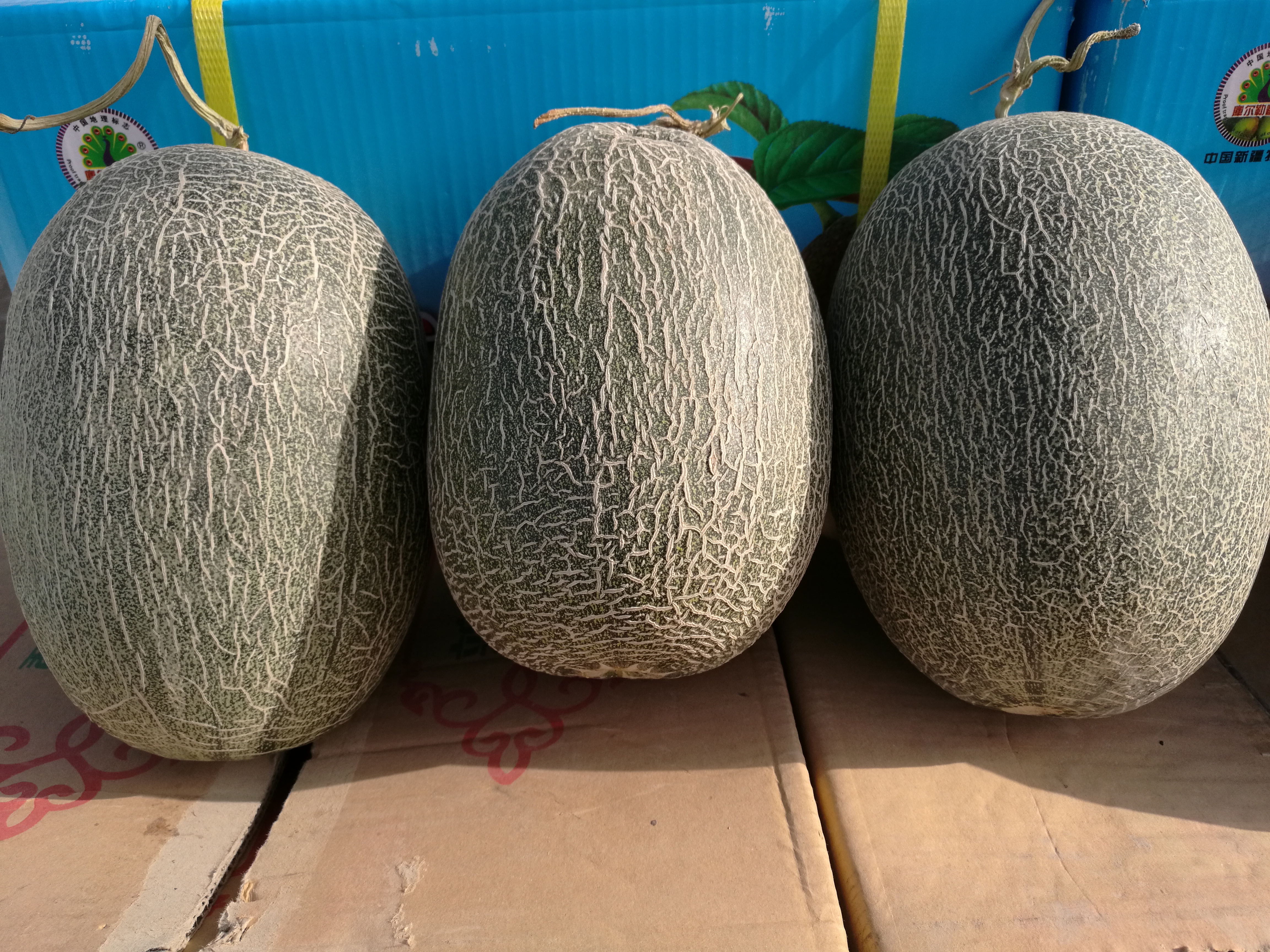 这个季节在吐鲁番火焰山下吃到地产的甜瓜爽