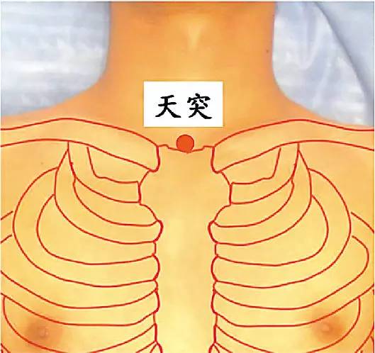 失音准确位置图和作用图片