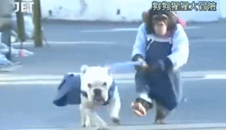 ܺܶ˶ɺͶţȮĽĿɴðաƤĺСӣҺʵĶţȮղķ˹һճ;УƤСʱԱЦϣΪгǿģΪղķ˹ȴСӣСΪƵġ