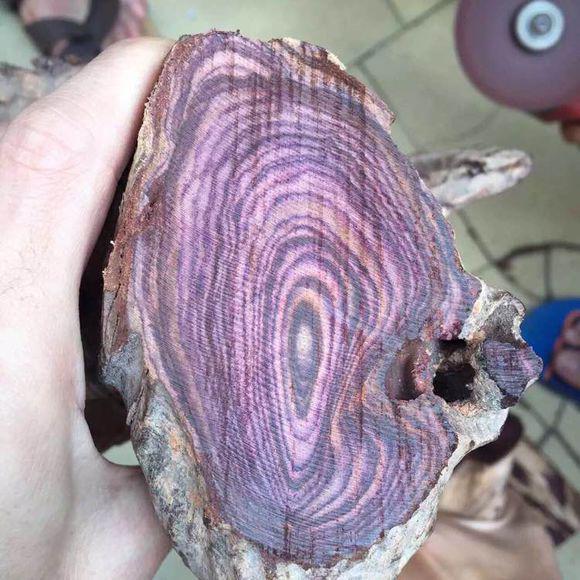 极品海黄紫油梨对眼料!开料的惊呆了!