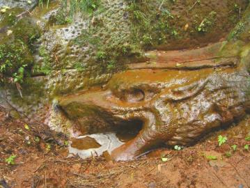 石龙头部(资料图片)