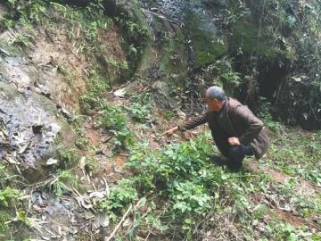 赵尚春指向埋在土中的龙头位置。