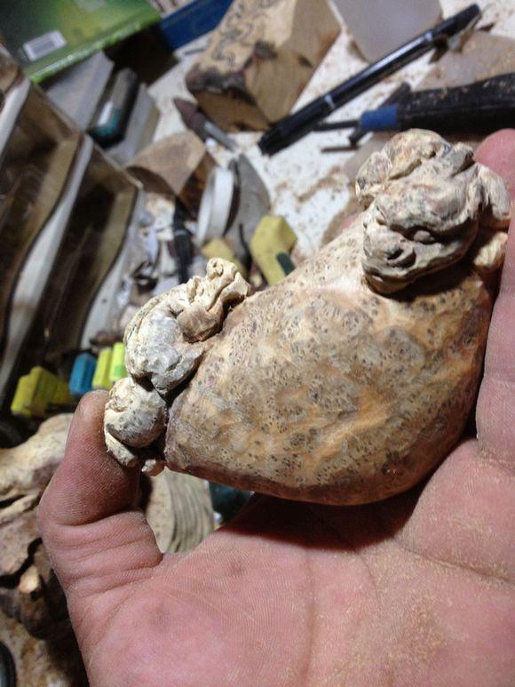 实拍满瘤花的麻梨疙瘩做的螭龙打磨后非常棒