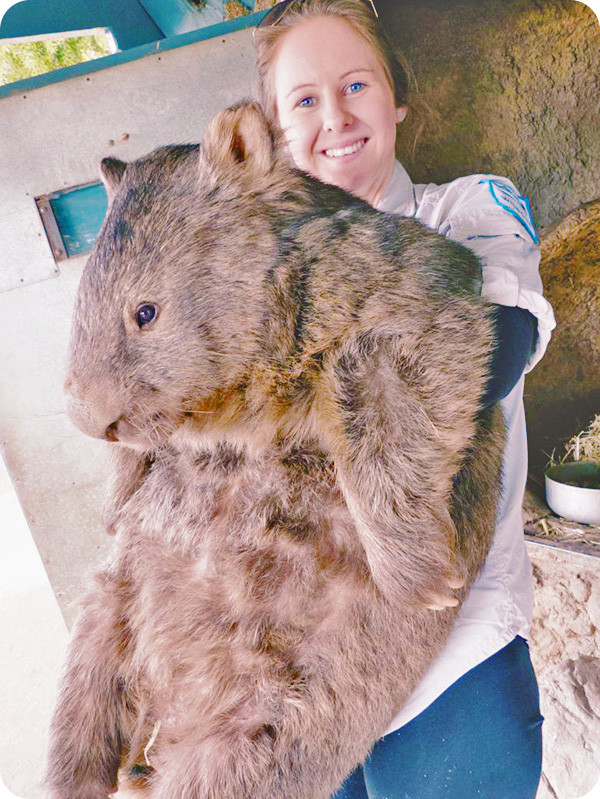 世界最萌動物園:呆萌考拉霸氣側漏