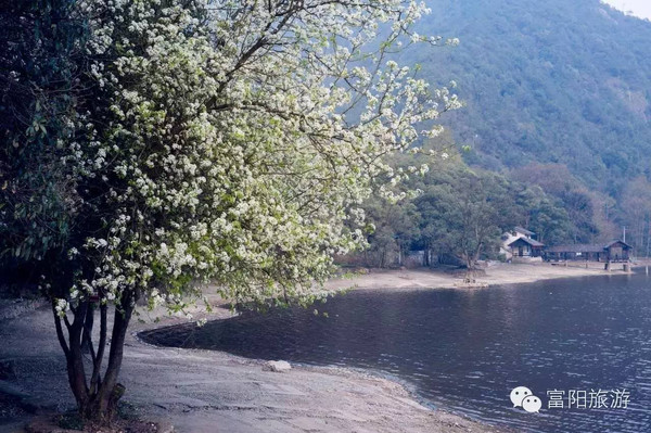 风来岭,位于富阳胥口镇上练村境内,上山通道有两条:开车,从碧东坞