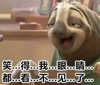 史上最全树懒表情包超萌超可爱保存要慢