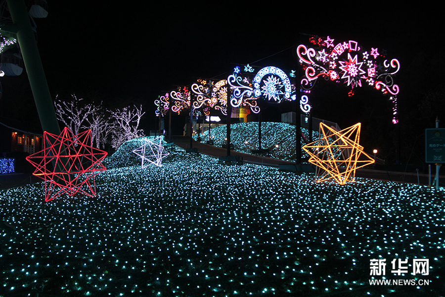 探访日本关东地区最大彩灯展(高清(组图)