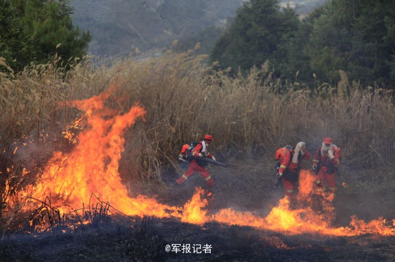 截止目前,當地已有森林防火部門和駐地的武警8750部隊800800_532