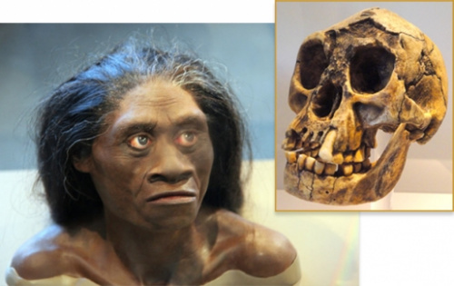 原标题:印尼发现6万年前小人族化石 霍比特人真的存在?