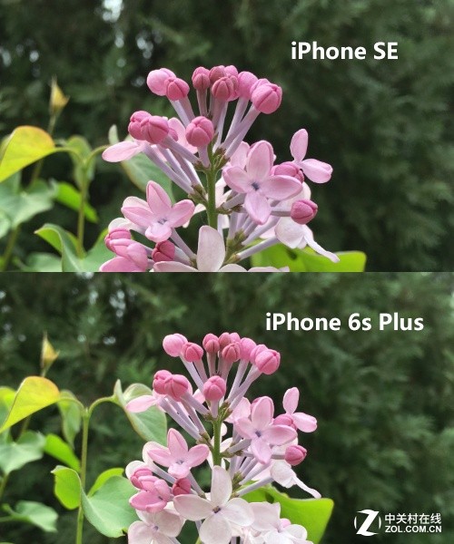  iPhone SE/6s Plus