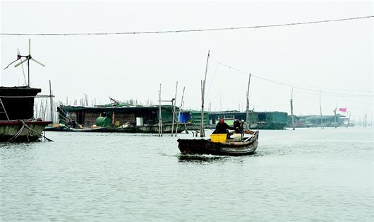 湖北日报讯 图为:洪湖市文泉村是比较典型的湖上渔村.